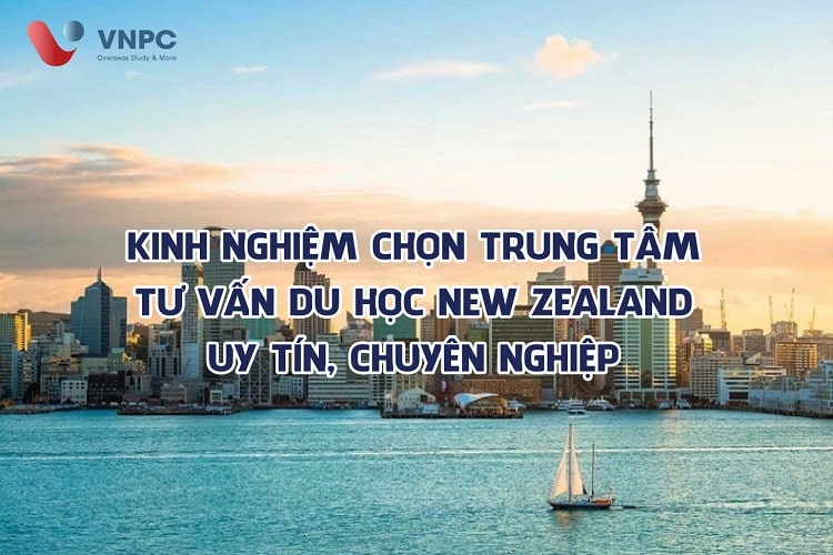 Trung tâm King888shop link không bị chặn New Zealand uy tín tại Hà Nội, TPHCM
